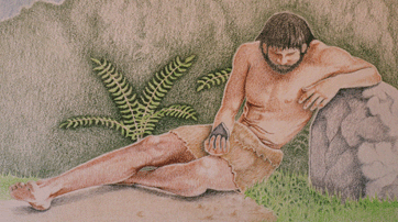 Neanderthal.fern.fossil.leaning.on.rock[JoelWilson]81290003.CROPPED.gif